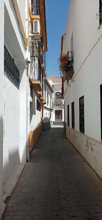 Apartamento Casco Historico Con Atico. Seville Exterior photo
